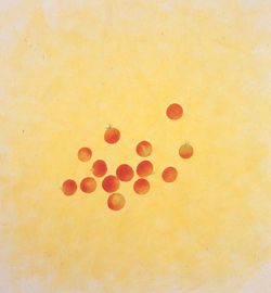 김진관 초대展