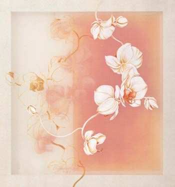 Aura07-44